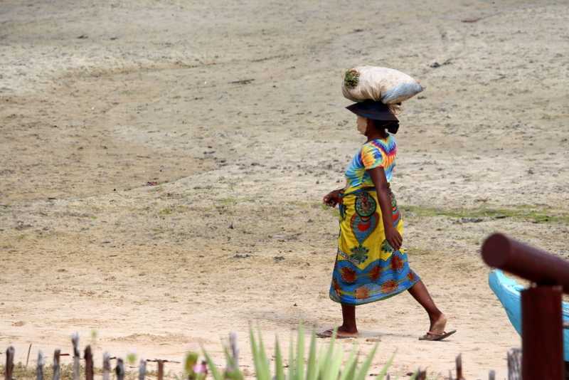 Мадагаскар и Маврикий. Баобабы и киты.