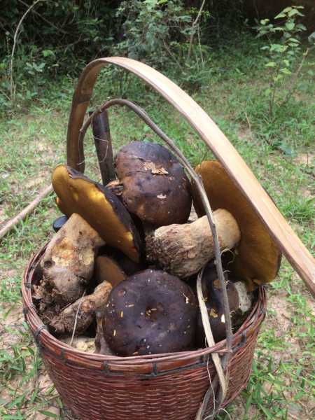 Женитьба на тайке