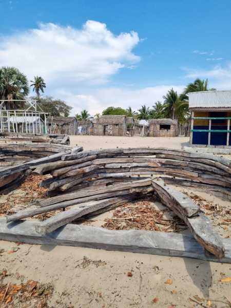 Мадагаскар и Маврикий. Баобабы и киты.