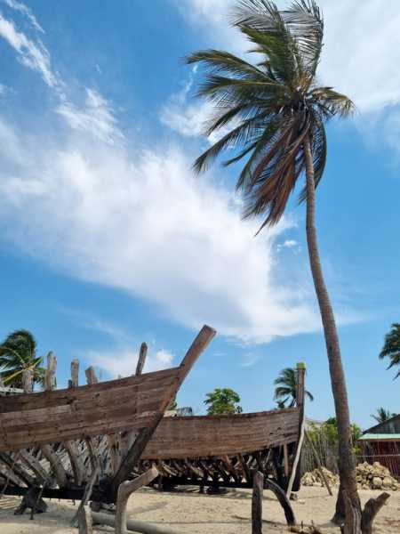 Мадагаскар и Маврикий. Баобабы и киты.