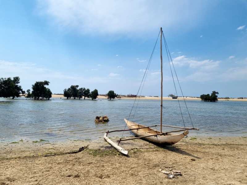 Мадагаскар и Маврикий. Баобабы и киты.