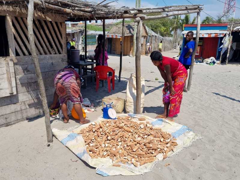 Мадагаскар и Маврикий. Баобабы и киты.