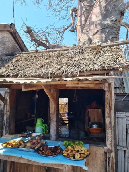 Мадагаскар и Маврикий. Баобабы и киты.