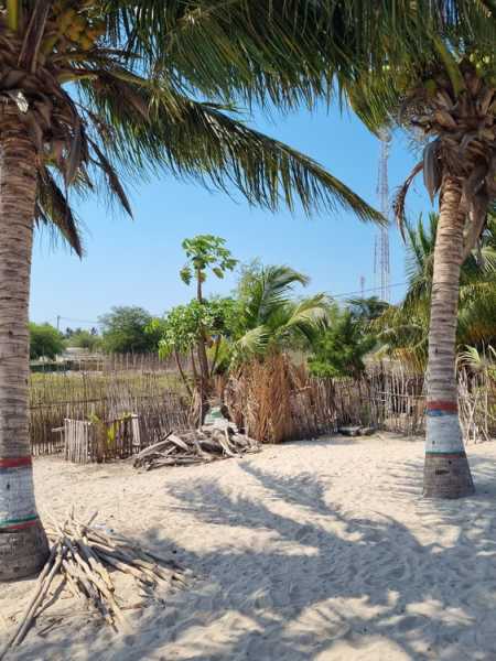 Мадагаскар и Маврикий. Баобабы и киты.