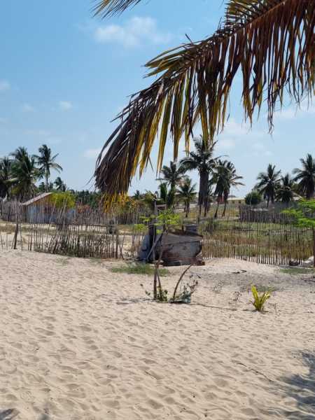 Мадагаскар и Маврикий. Баобабы и киты.