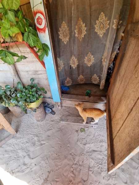 Мадагаскар и Маврикий. Баобабы и киты.