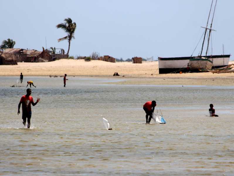 Мадагаскар и Маврикий. Баобабы и киты.