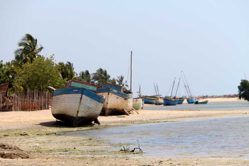 Мадагаскар и Маврикий. Баобабы и киты.