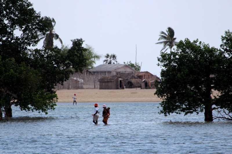 Мадагаскар и Маврикий. Баобабы и киты.