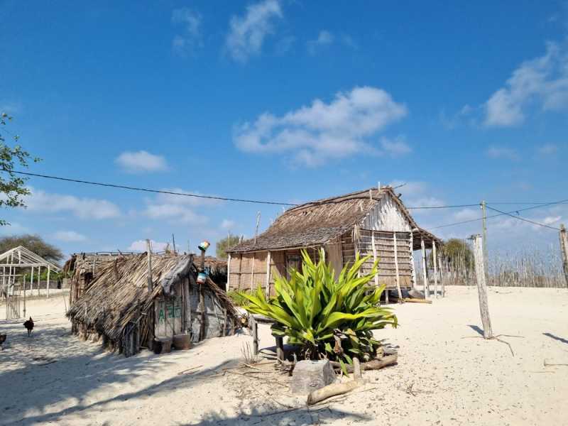 Мадагаскар и Маврикий. Баобабы и киты.