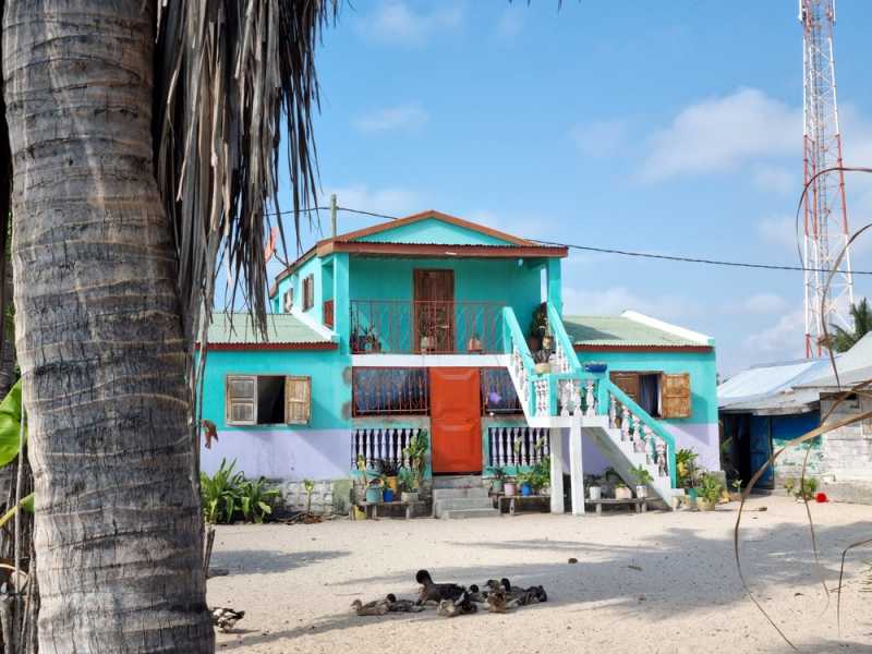 Мадагаскар и Маврикий. Баобабы и киты.