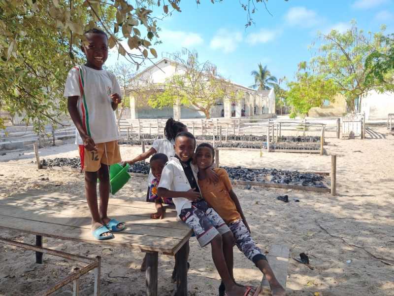 Мадагаскар и Маврикий. Баобабы и киты.