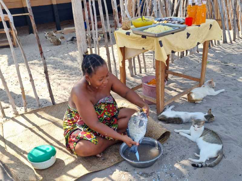 Мадагаскар и Маврикий. Баобабы и киты.