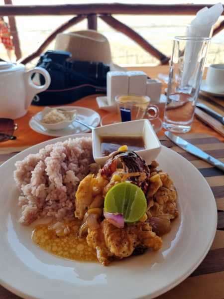 Мадагаскар и Маврикий. Баобабы и киты.