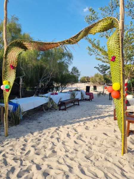 Мадагаскар и Маврикий. Баобабы и киты.