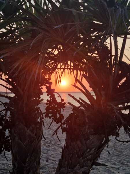 Мадагаскар и Маврикий. Баобабы и киты.