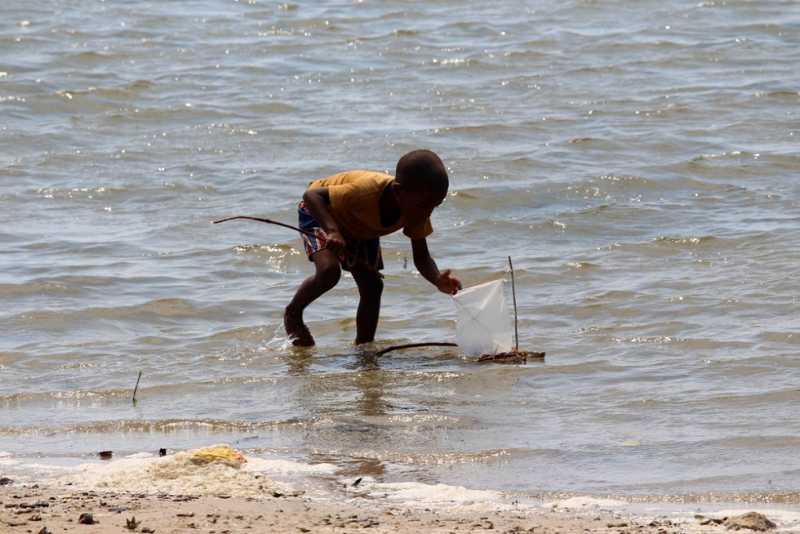 Мадагаскар и Маврикий. Баобабы и киты.