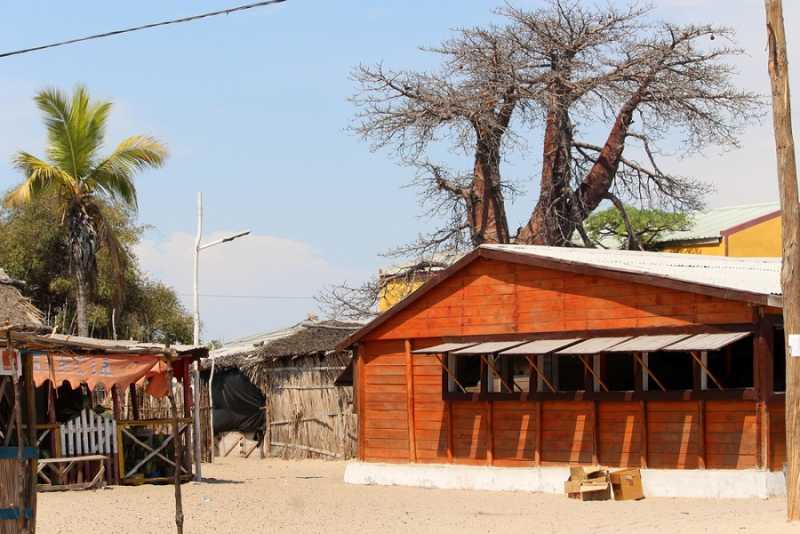 Мадагаскар и Маврикий. Баобабы и киты.