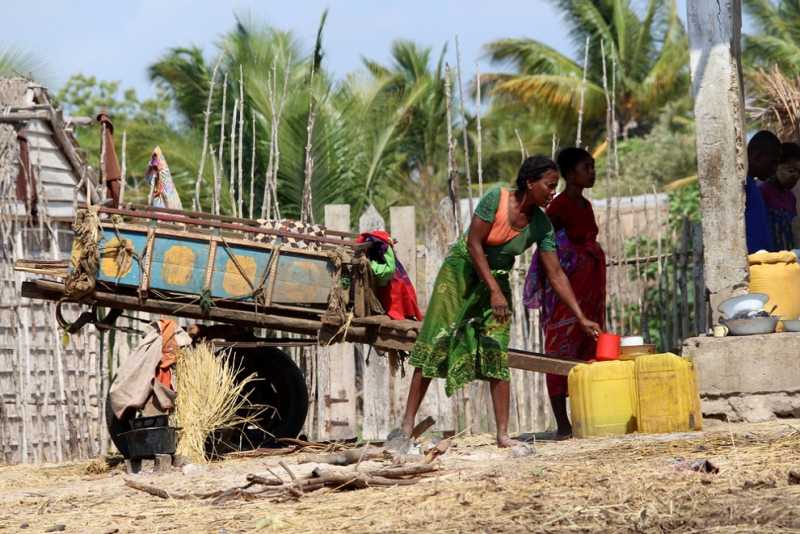 Мадагаскар и Маврикий. Баобабы и киты.
