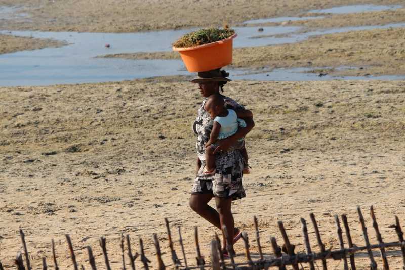 Мадагаскар и Маврикий. Баобабы и киты.
