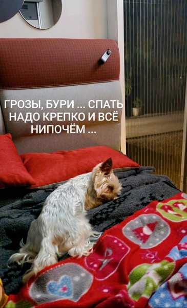 Другая жизнь '24