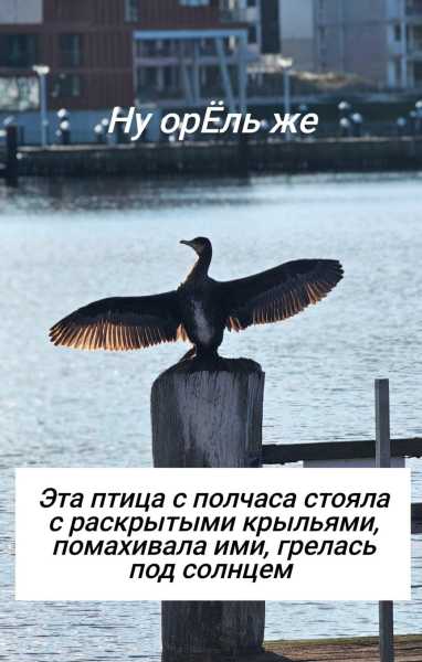 Другая жизнь '24