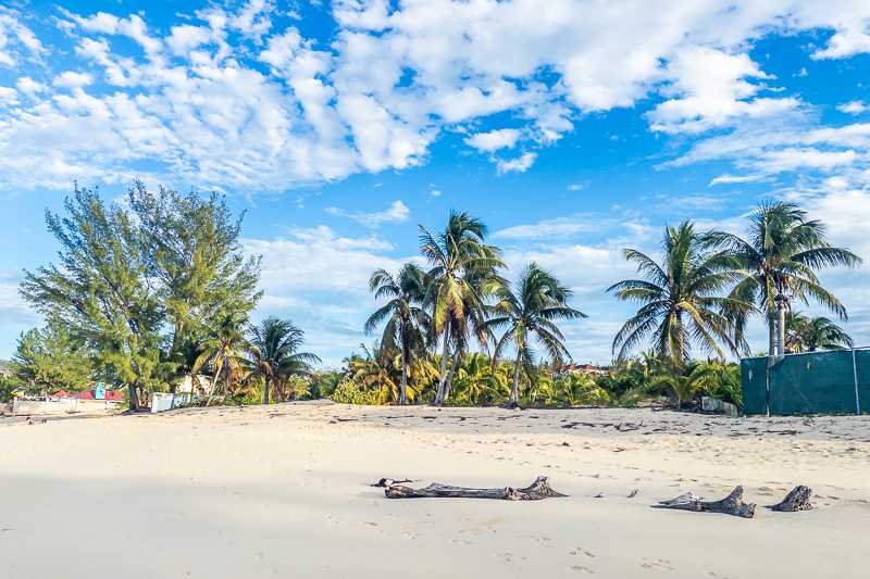 New Providence, Bahamas: Внезапно мило New Providence, Bahamas: Внезапно мило