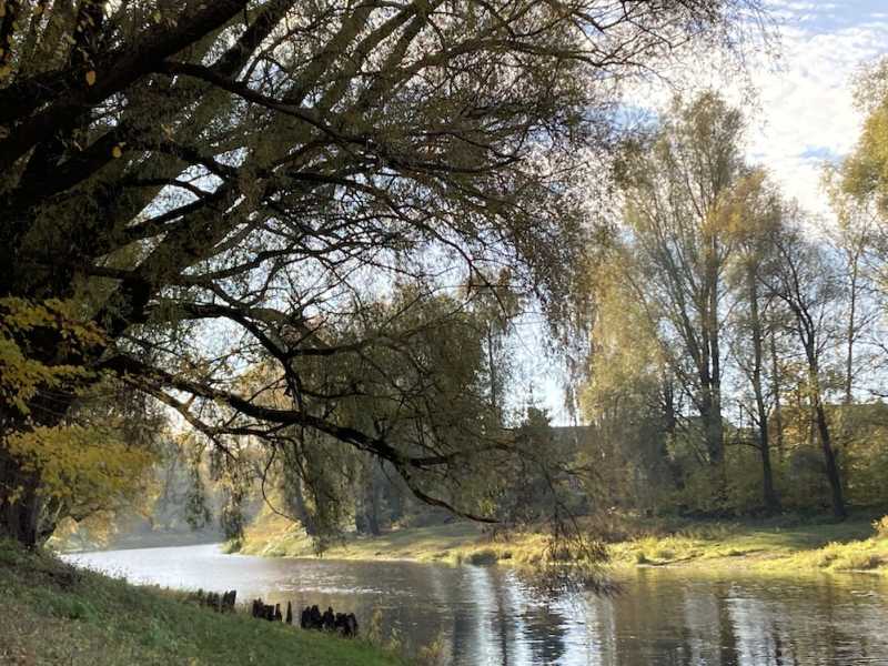 На денёк из Новгорода. Старая Русса, Коростынь и деревня Ручьи. (Приложение к отчёту “Мой родной Великий Новгород”) На денёк из Новгорода. Старая Русса, Коростынь и деревня Ручьи. (Приложение к отчёту “Мой родной Великий Новгород”)