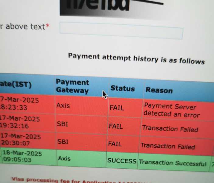 Виза в Индию на 5 лет. Вопросы