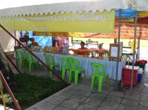 Путешествие в лето