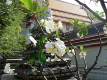 Путешествие в лето