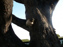 Путешествие в лето