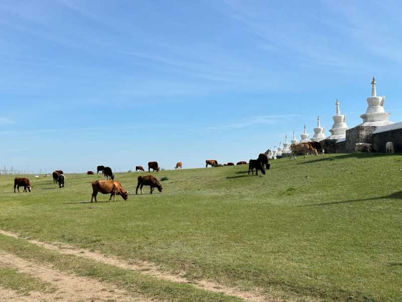 Путешествие в Монголию и на Байкал: июль-август 2024 г.