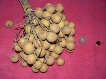 Путешествие в лето