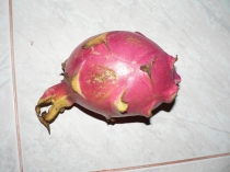 Путешествие в лето