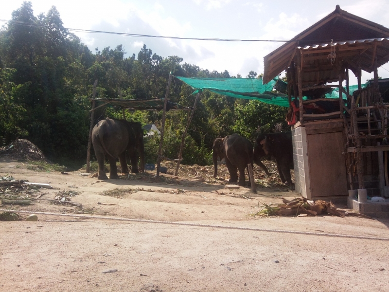Путешествие в лето