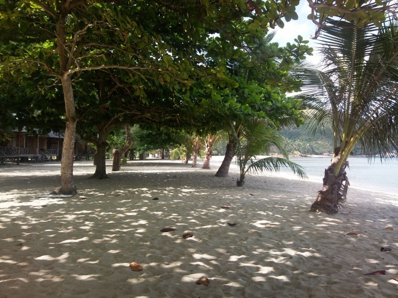 Путешествие в лето