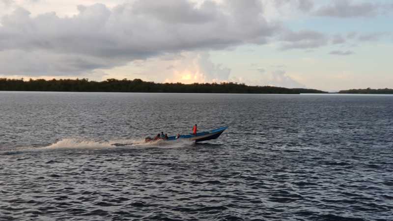К Королям? К четырем Королям! – дайвинг в Раджа-Ампат (Raja-Ampat) ноябрь 2024 К Королям? К четырем Королям! – дайвинг в Раджа-Ампат (Raja-Ampat) ноябрь 2024