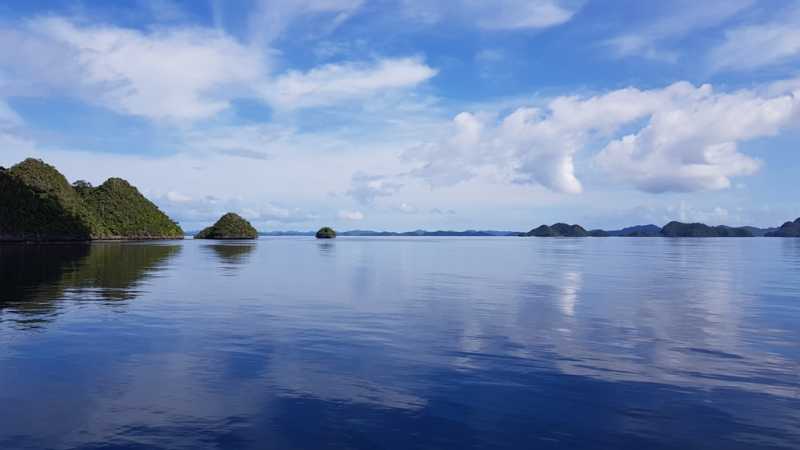 К Королям? К четырем Королям! – дайвинг в Раджа-Ампат (Raja-Ampat) ноябрь 2024 К Королям? К четырем Королям! – дайвинг в Раджа-Ампат (Raja-Ampat) ноябрь 2024