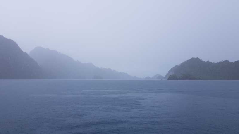 К Королям? К четырем Королям! – дайвинг в Раджа-Ампат (Raja-Ampat) ноябрь 2024 К Королям? К четырем Королям! – дайвинг в Раджа-Ампат (Raja-Ampat) ноябрь 2024