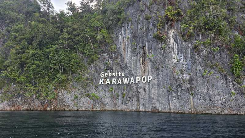 К Королям? К четырем Королям! – дайвинг в Раджа-Ампат (Raja-Ampat) ноябрь 2024 К Королям? К четырем Королям! – дайвинг в Раджа-Ампат (Raja-Ampat) ноябрь 2024