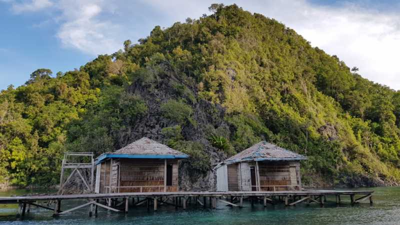К Королям? К четырем Королям! – дайвинг в Раджа-Ампат (Raja-Ampat) ноябрь 2024 К Королям? К четырем Королям! – дайвинг в Раджа-Ампат (Raja-Ampat) ноябрь 2024