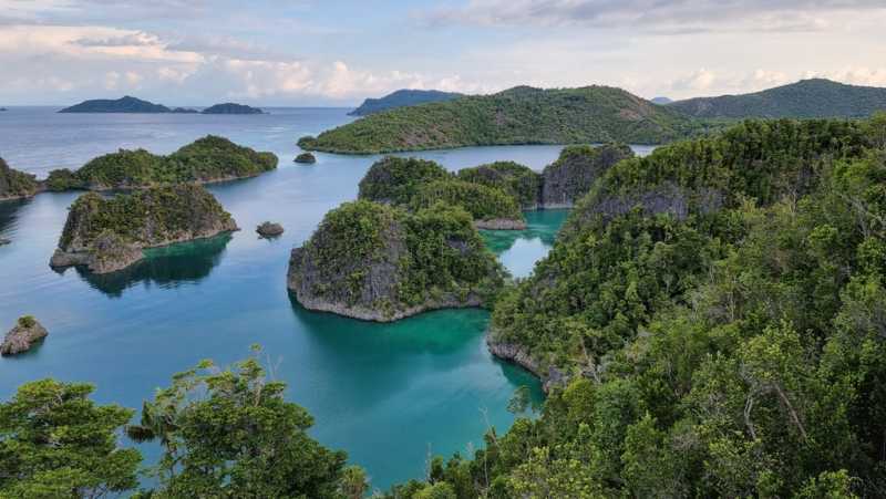 К Королям? К четырем Королям! – дайвинг в Раджа-Ампат (Raja-Ampat) ноябрь 2024 К Королям? К четырем Королям! – дайвинг в Раджа-Ампат (Raja-Ampat) ноябрь 2024