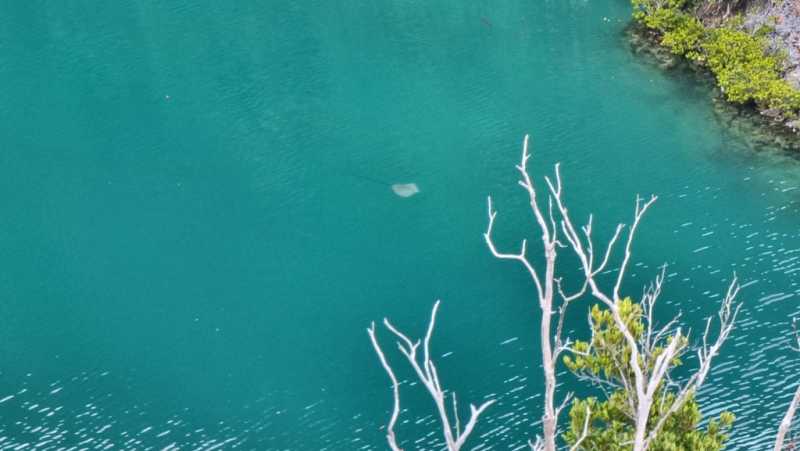 К Королям? К четырем Королям! – дайвинг в Раджа-Ампат (Raja-Ampat) ноябрь 2024 К Королям? К четырем Королям! – дайвинг в Раджа-Ампат (Raja-Ampat) ноябрь 2024