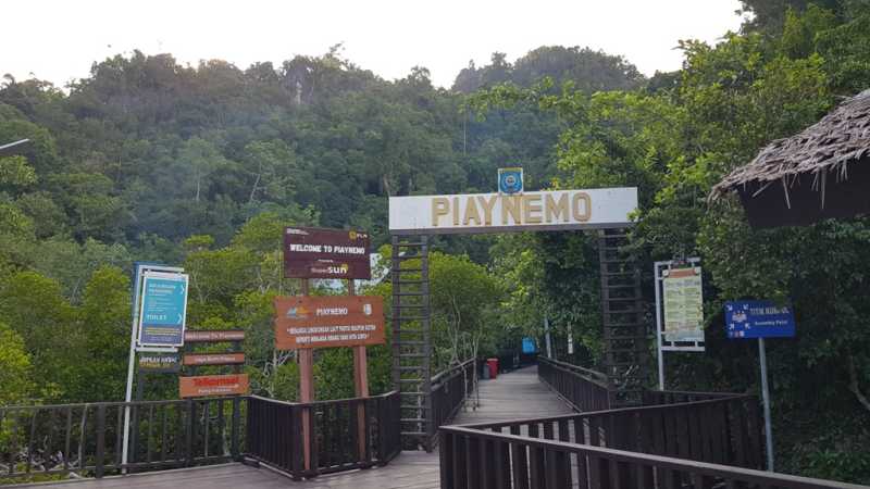 К Королям? К четырем Королям! – дайвинг в Раджа-Ампат (Raja-Ampat) ноябрь 2024 К Королям? К четырем Королям! – дайвинг в Раджа-Ампат (Raja-Ampat) ноябрь 2024