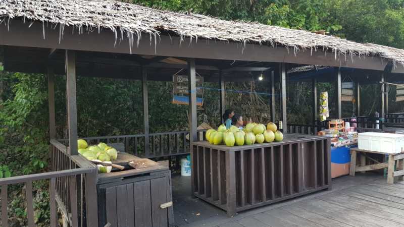 К Королям? К четырем Королям! – дайвинг в Раджа-Ампат (Raja-Ampat) ноябрь 2024 К Королям? К четырем Королям! – дайвинг в Раджа-Ампат (Raja-Ampat) ноябрь 2024