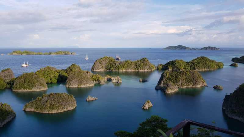 К Королям? К четырем Королям! – дайвинг в Раджа-Ампат (Raja-Ampat) ноябрь 2024 К Королям? К четырем Королям! – дайвинг в Раджа-Ампат (Raja-Ampat) ноябрь 2024