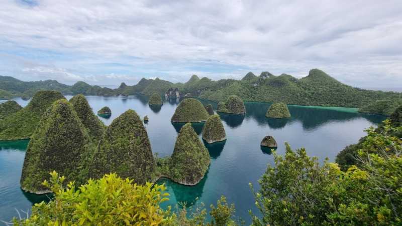 К Королям? К четырем Королям! – дайвинг в Раджа-Ампат (Raja-Ampat) ноябрь 2024 К Королям? К четырем Королям! – дайвинг в Раджа-Ампат (Raja-Ampat) ноябрь 2024
