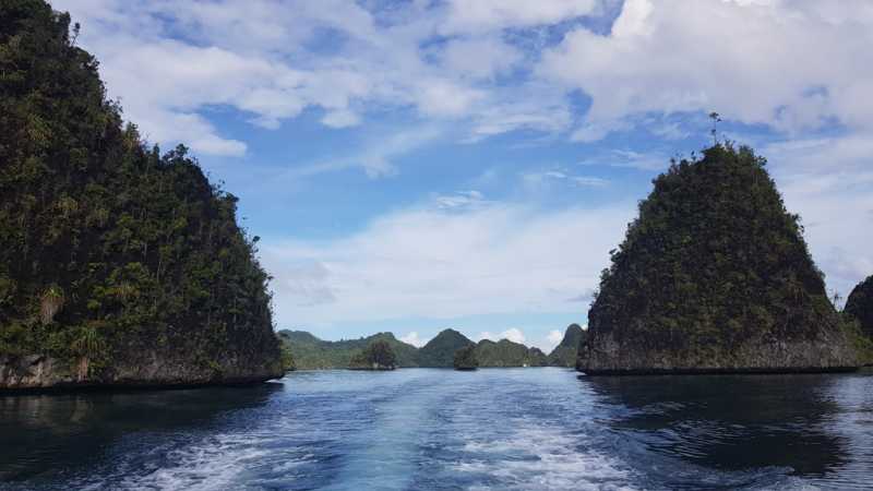 К Королям? К четырем Королям! – дайвинг в Раджа-Ампат (Raja-Ampat) ноябрь 2024 К Королям? К четырем Королям! – дайвинг в Раджа-Ампат (Raja-Ampat) ноябрь 2024