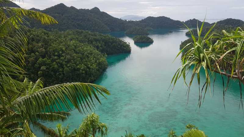 К Королям? К четырем Королям! – дайвинг в Раджа-Ампат (Raja-Ampat) ноябрь 2024 К Королям? К четырем Королям! – дайвинг в Раджа-Ампат (Raja-Ampat) ноябрь 2024